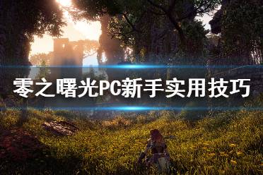 《地平线零之曙光》PC新手怎么玩 PC新手实用技巧介绍