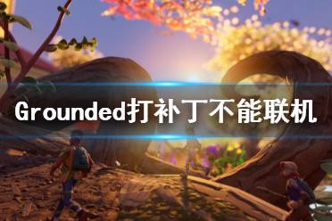 《禁闭求生》打补丁不能联机怎么办 Grounded打补丁不能联机解决方法分享