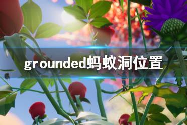 《禁闭求生》蚂蚁巢在哪 grounded蚂蚁洞位置分享