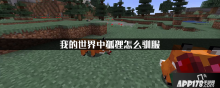 我的世界狐狸怎么驯服 狐狸驯服方法一览