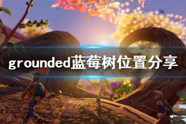 《禁闭求生》蓝莓树在哪 grounded蓝莓树位置分享