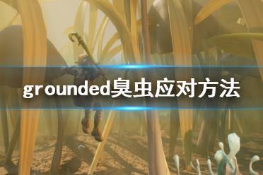 《禁闭求生》臭虫怎么应对 grounded臭虫应对方法介绍