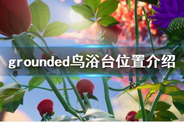《禁闭求生》鸟浴台在哪 grounded鸟浴台位置介绍