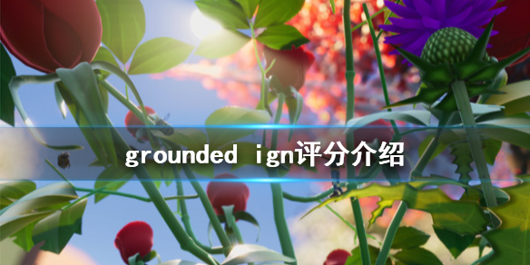 游侠网