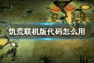 《饥荒联机版》代码怎么用 控制台使用方法