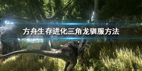 游侠网