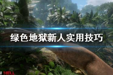 《丛林地狱》新手技巧分享 新人实用技巧一览