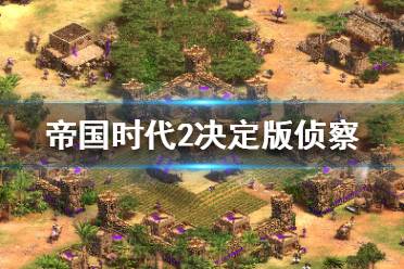 《帝国时代2决定版》怎么侦察 侦察玩法技巧