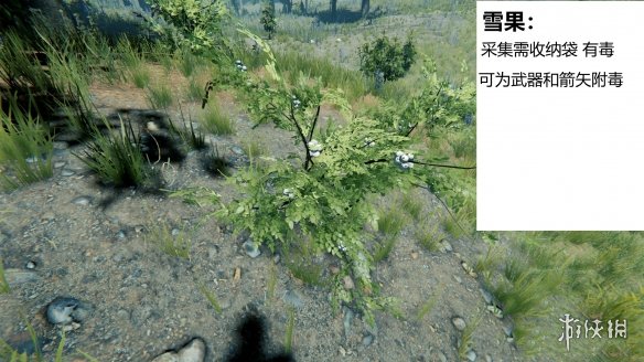 游侠网