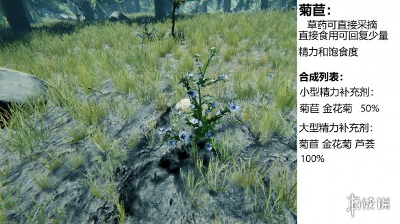 游侠网
