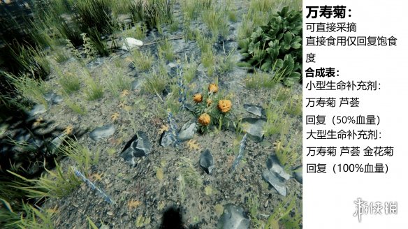 游侠网