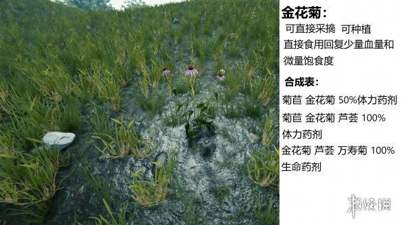 游侠网