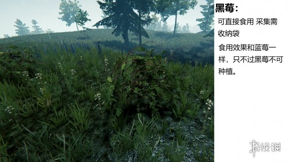 游侠网