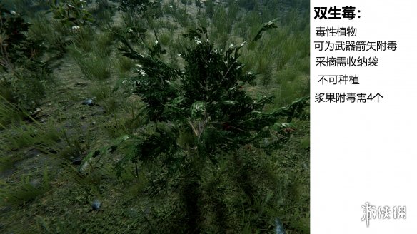 游侠网