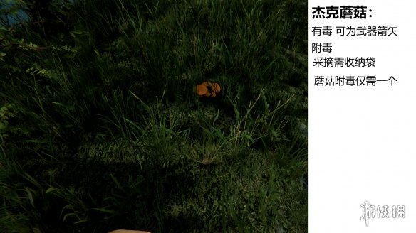 游侠网