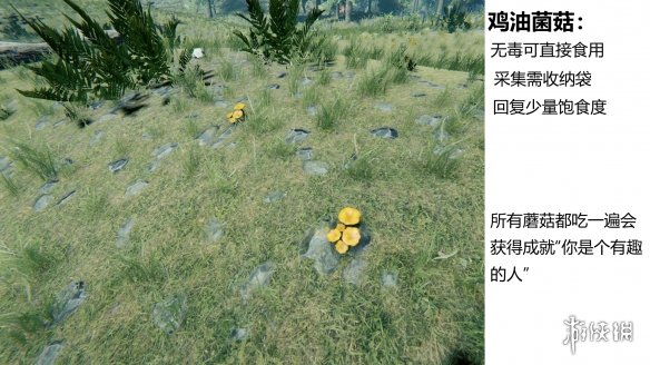 游侠网
