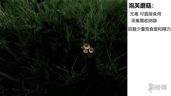 游侠网