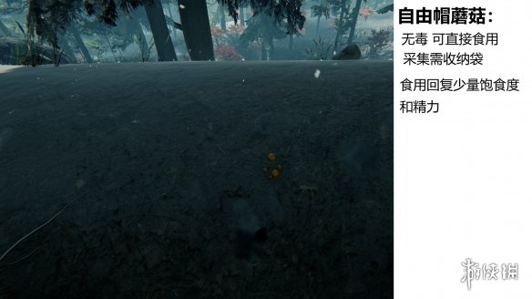 游侠网