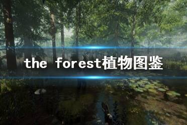《森林》游戏植物有什么 the forest植物图鉴分享