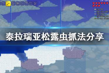 《泰拉瑞亚》松露虫怎么抓 松露虫抓法分享