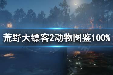 《荒野大镖客2》动物图鉴满级怎么玩 动物图鉴100%方法分享
