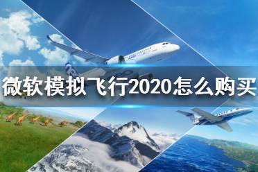 《微软模拟飞行2020》怎么购买？购买方法介绍