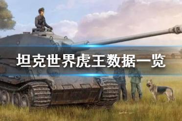 《坦克世界》虎王怎么样？虎王数据一览