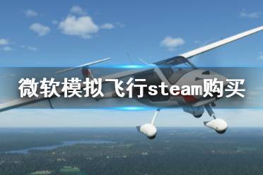 《微软模拟飞行2020》steam叫什么 steam购买方法介绍