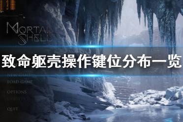 《致命躯壳》操作键位分布一览 游戏怎么操作？