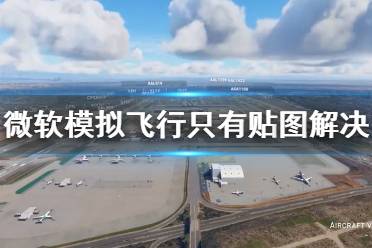 《微软模拟飞行2020》只有贴图怎么办 只有贴图解决方法分享