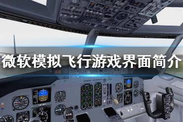 《微软模拟飞行》界面怎么操作 游戏界面简介