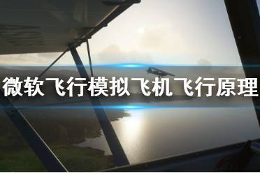 《微软飞行模拟》飞行原理是什么 飞机飞行原理介绍