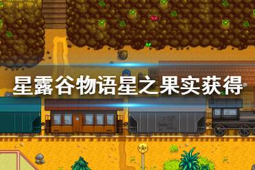 《星露谷物语》怎么获得星之果实?星之果实获得途径分享