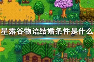 《星露谷物语》结婚条件是什么?结婚攻略