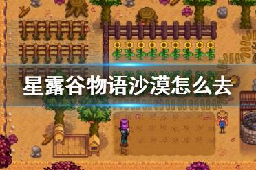 《星露谷物语》卡利科沙漠怎么去?去沙漠方法