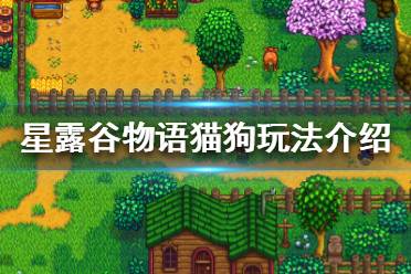 《星露谷物语》猫有什么用?猫狗玩法介绍
