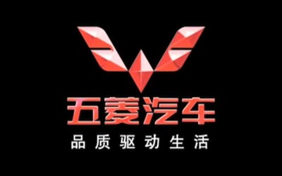 8月国内新能源乘用车销量突破10万！卖得最好的是它