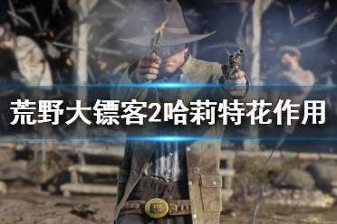 《荒野大镖客2》哈莉特花有什么用 哈莉特花作用介绍