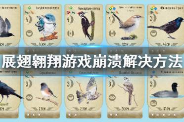 展翅翱翔游戏崩溃怎么办？展翅翱翔毕竟是一款桌游为基底