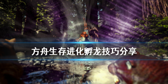 游侠网