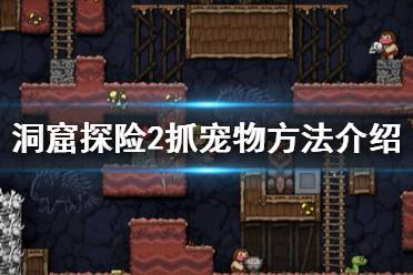  洞窟探险2抓宠物方法为大家分享到此