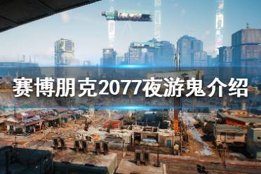  以上就是赛博朋克2077夜游鬼介绍了