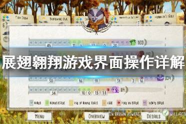 《展翅翱翔》怎么玩 游戏界面操作详解