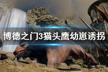  博德之门3猫头鹰幼崽怎么带走？猫头鹰幼崽十分可爱