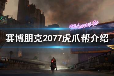 虎爪帮高层明白