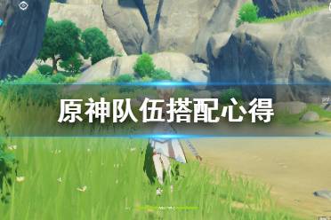 以上就是为大家带来的原神队伍搭配心得的全部内容了