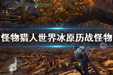 历战调查仅仅只能用来刷珠子了