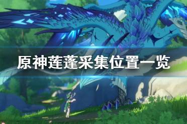 《原神》莲蓬在哪刷 莲蓬采集位置一览