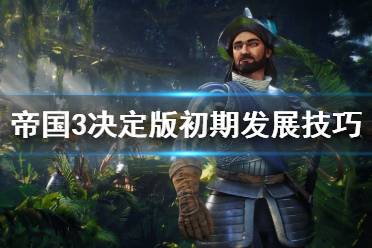 如果是发展策略