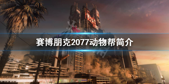 游侠网
